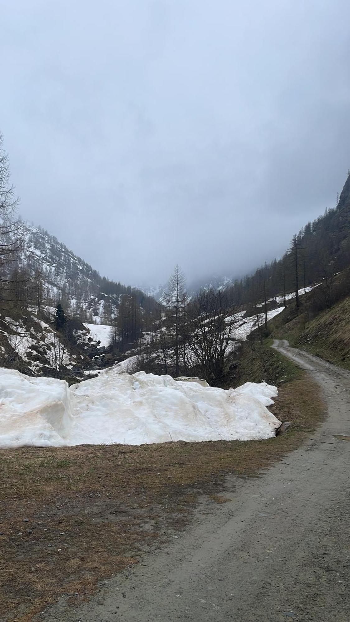 Laghi Di Como Appartamento Di Licinia E Mario Asso Екстериор снимка